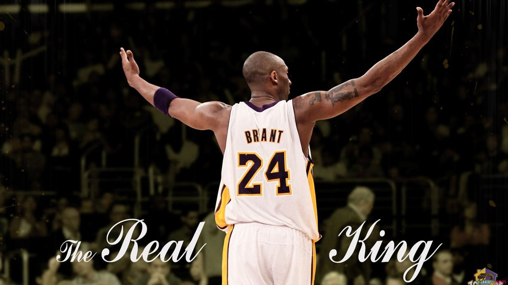 _森林狼士气高涨,冲击季后赛目标_,森林狼重返季后赛